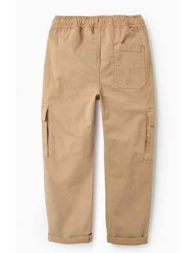 Cargo Pants Twill Dark Beige ZY24066