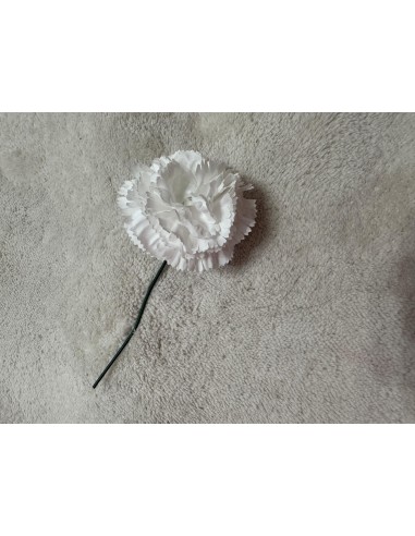 Clavel Blanco